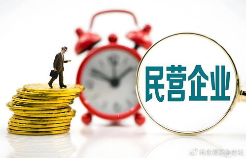 當(dāng)民營(yíng)企業(yè)遇見世界500強(qiáng) 以企業(yè)自有資金共繪“投資中國(guó)，共贏未來(lái)”新藍(lán)圖