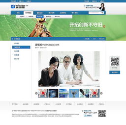 企業(yè)網(wǎng)站設(shè)計(jì)的藝術(shù)與策略 打造高效溝通的數(shù)字門(mén)戶